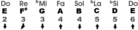 Natural Minor Scale in the Key of MIm